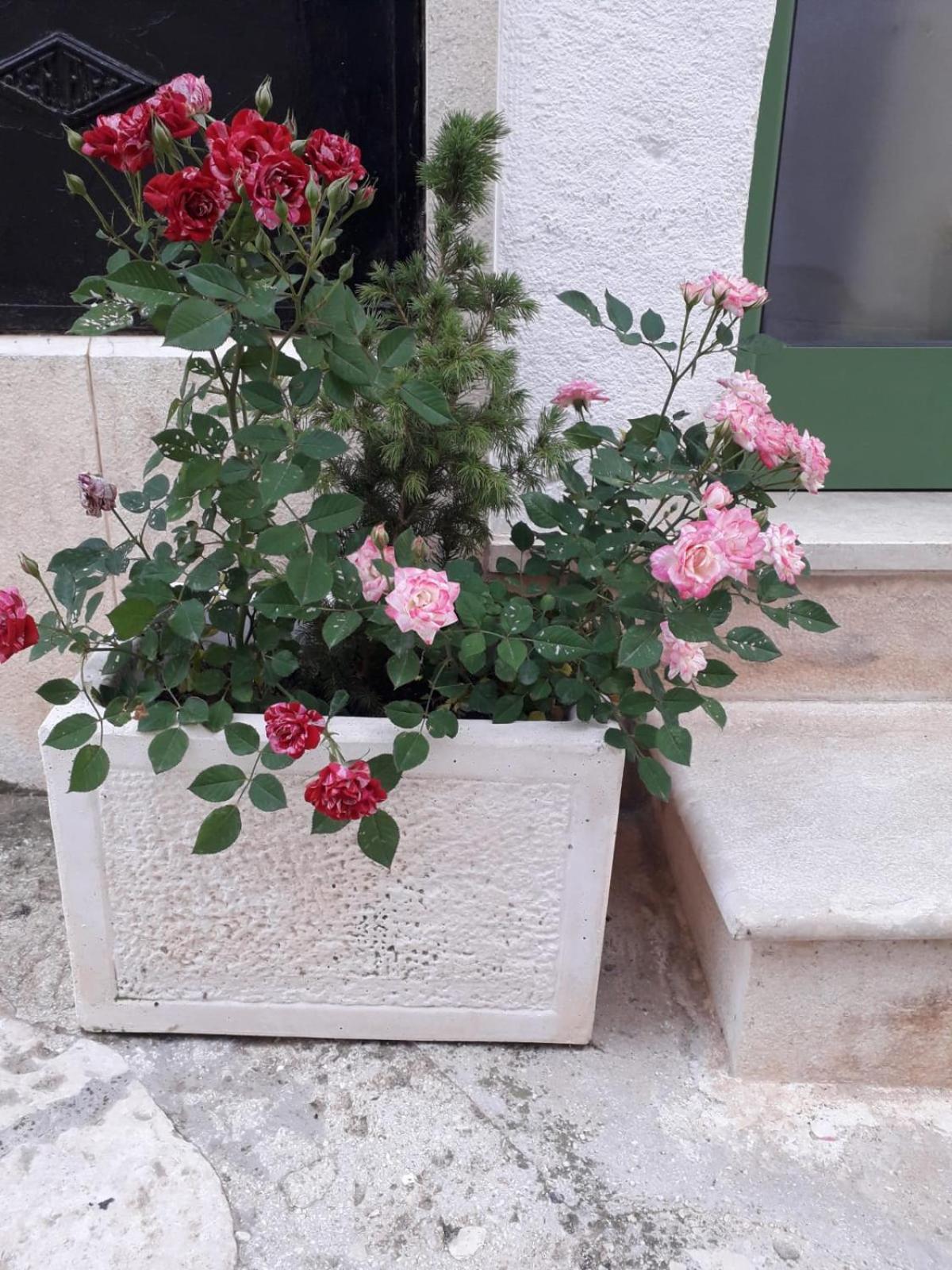 Le Chianche Villa Ceglie Messapica Buitenkant foto